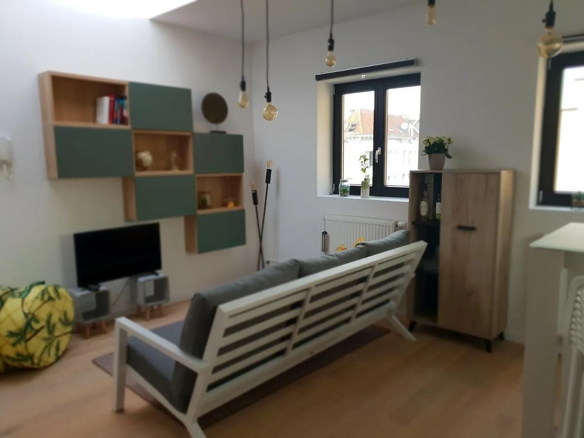 Uitzicht Op Het Mas Apartment Antwerp