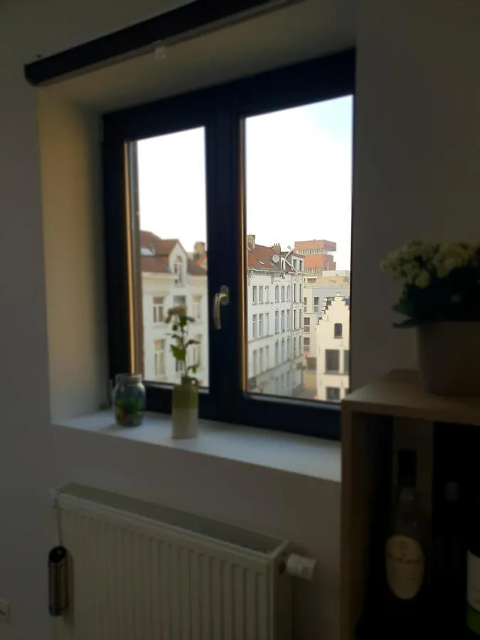 Uitzicht Op Het Mas Apartment Antwerp